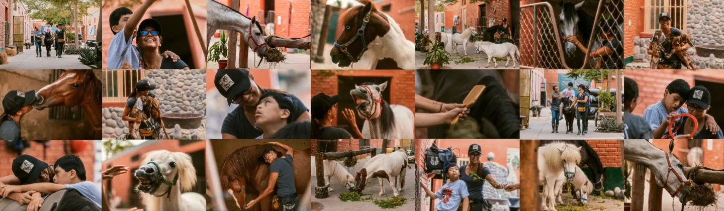 Descripción de la imagen